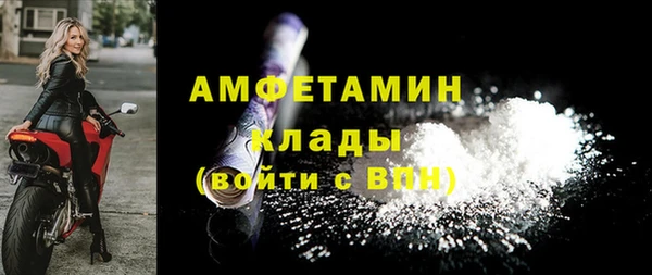 гидра Верхний Тагил
