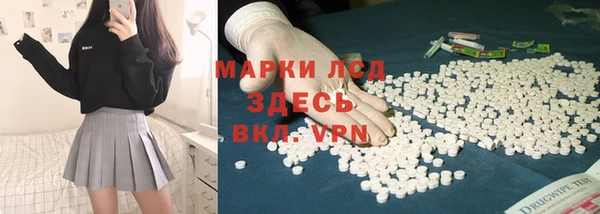 гидра Верхний Тагил