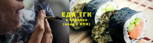 гидра Верхний Тагил