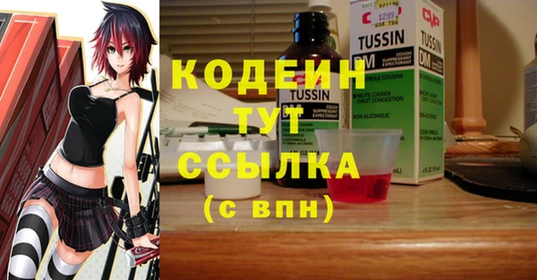 гидра Верхний Тагил