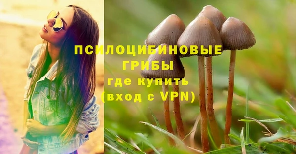 mdpv Верея