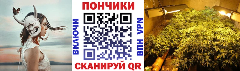 Купить где  Балей  Канабис Bruce Banner 